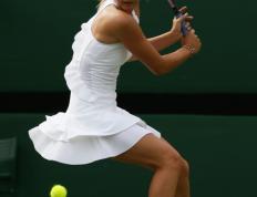 PG电子- 莎拉波娃谁最漂亮 